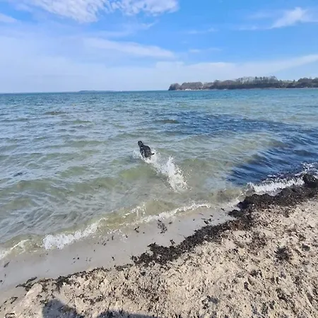 2 Person In Ferienhaus *